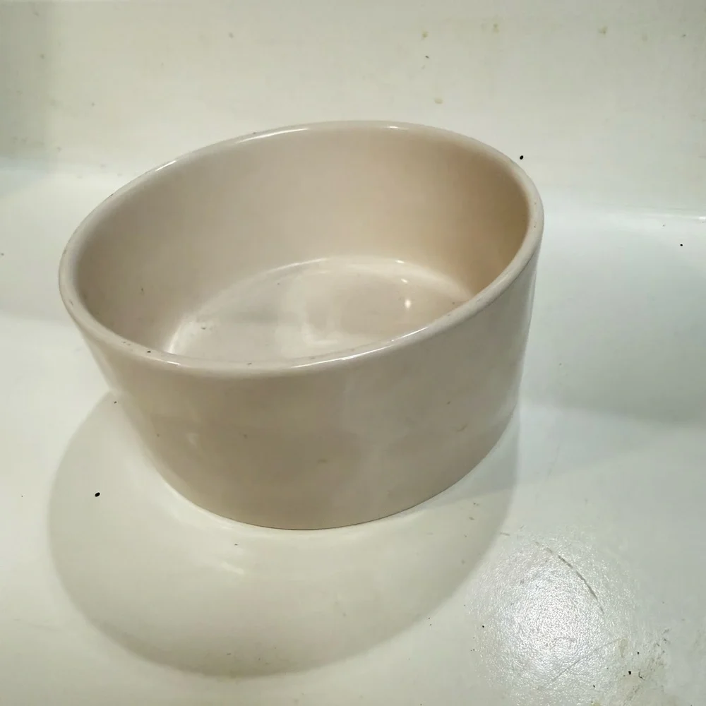New Rae Dunn Slurp pet cat dog bowl